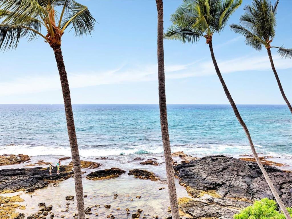 Kona Bali Kai #316 Lejlighed Kailua-Kona Eksteriør billede